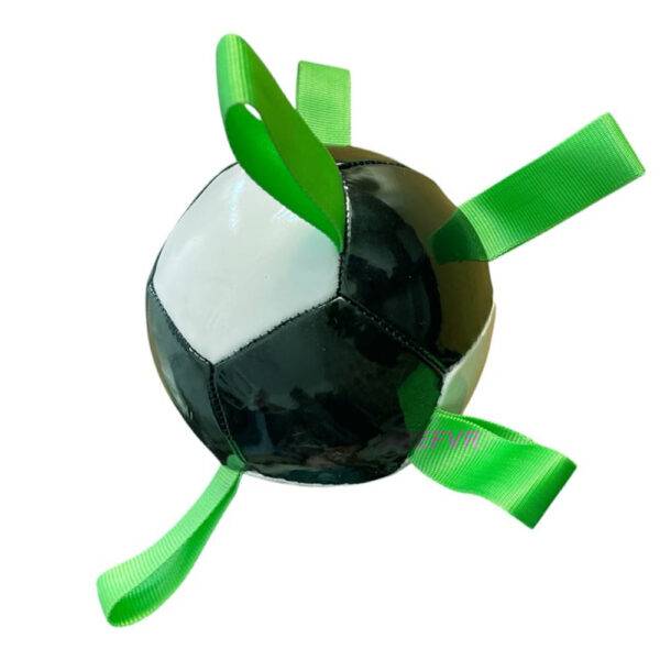 Dog Footballs Multicolor pet Balls