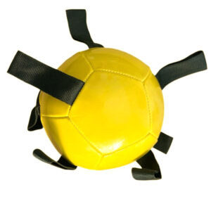 Dog Footballs Multicolor pet Balls