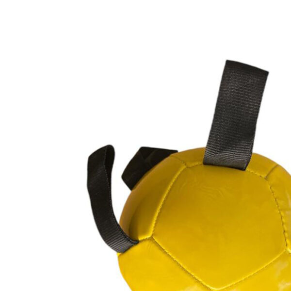 Dog Footballs Multicolor pet Balls