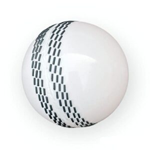 Original i20 Wind  Ball 100 Over Play Grantee White
