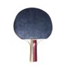 Version 1.0.0 Primium Table Tennis Bat 4 Star Polished Handle 1