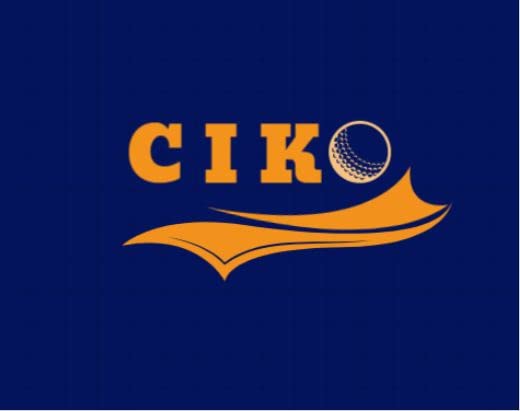 Version 1.0.0 Ciko Wooden Durability Increase Oil for Cricket Bat Base Bat Hockey and All Types of Wood | 105 ML