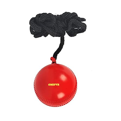 Version 1.0.0 Hanging Ball For Cricket Practice and Knocking