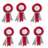 Version 1.0.0 Award Ribbon Badge Brooch RNR office corporate Reward Rosette