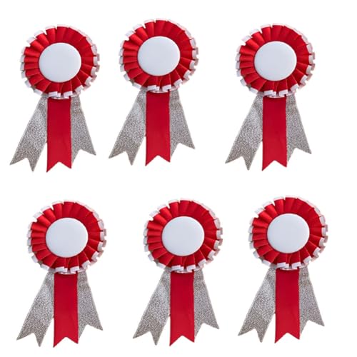 Version 1.0.0 Award Ribbon Badge Brooch RNR office corporate Reward Rosette