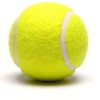 Cricket Tennis Ball High Bouse