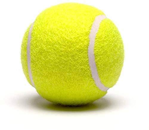 Cricket Tennis Ball High Bouse
