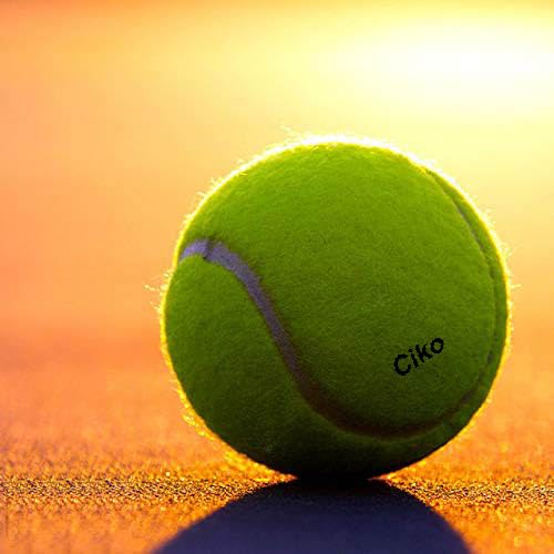 Cricket Tennis Ball High Bouse