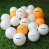 Version 1.0.0 Table Tennis Ball Ping Pong Balls Yellow or White Lose (12)