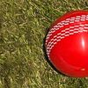 Version 1.0.0 Cricket Ball i20 Wind Look Like Leather Ball