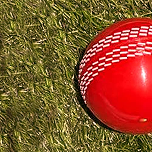 Version 1.0.0 Cricket Ball i20 Wind Look Like Leather Ball