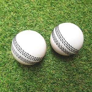 Version 1.0.0 Cricket i10 Wind Ball pack of 2